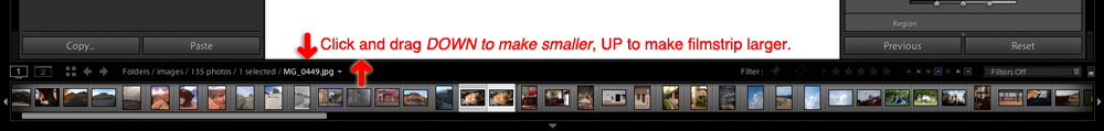 the filmstrip