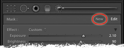select a new brush