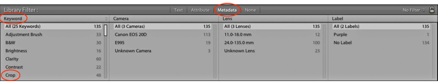 library filter bar